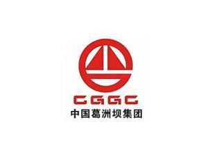 CGGC-Partner